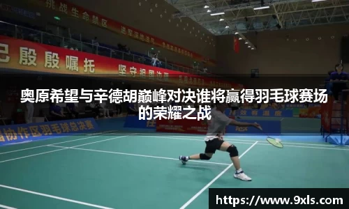 奥原希望与辛德胡巅峰对决谁将赢得羽毛球赛场的荣耀之战