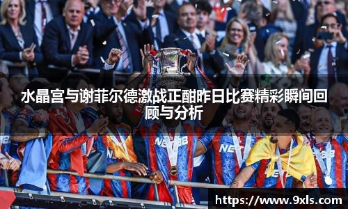 水晶宫与谢菲尔德激战正酣昨日比赛精彩瞬间回顾与分析